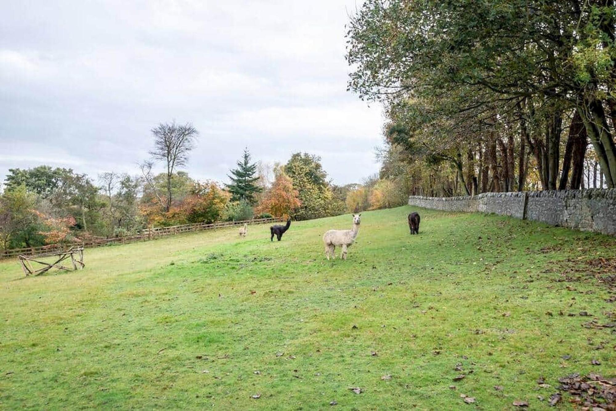 Park View Cottages - The Granary Boarhills Eksteriør billede